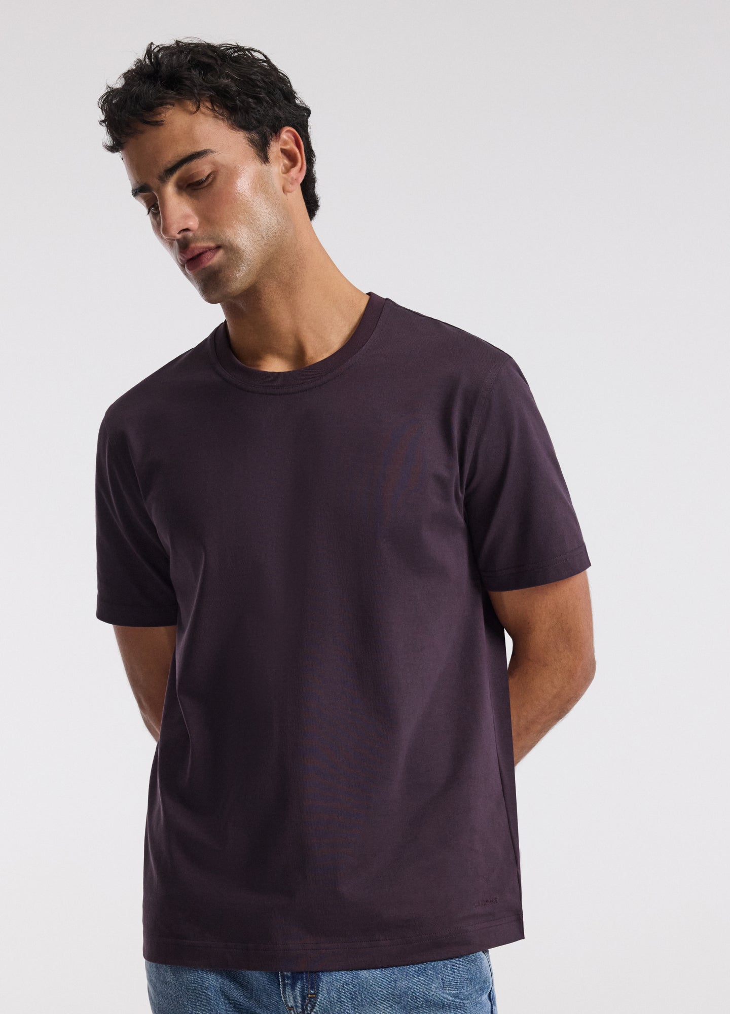 Relaxed Crew T-shirt Plum