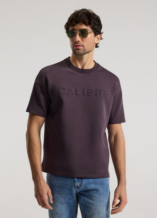 Relaxed Fit Logo Sweat T-shirt Plum