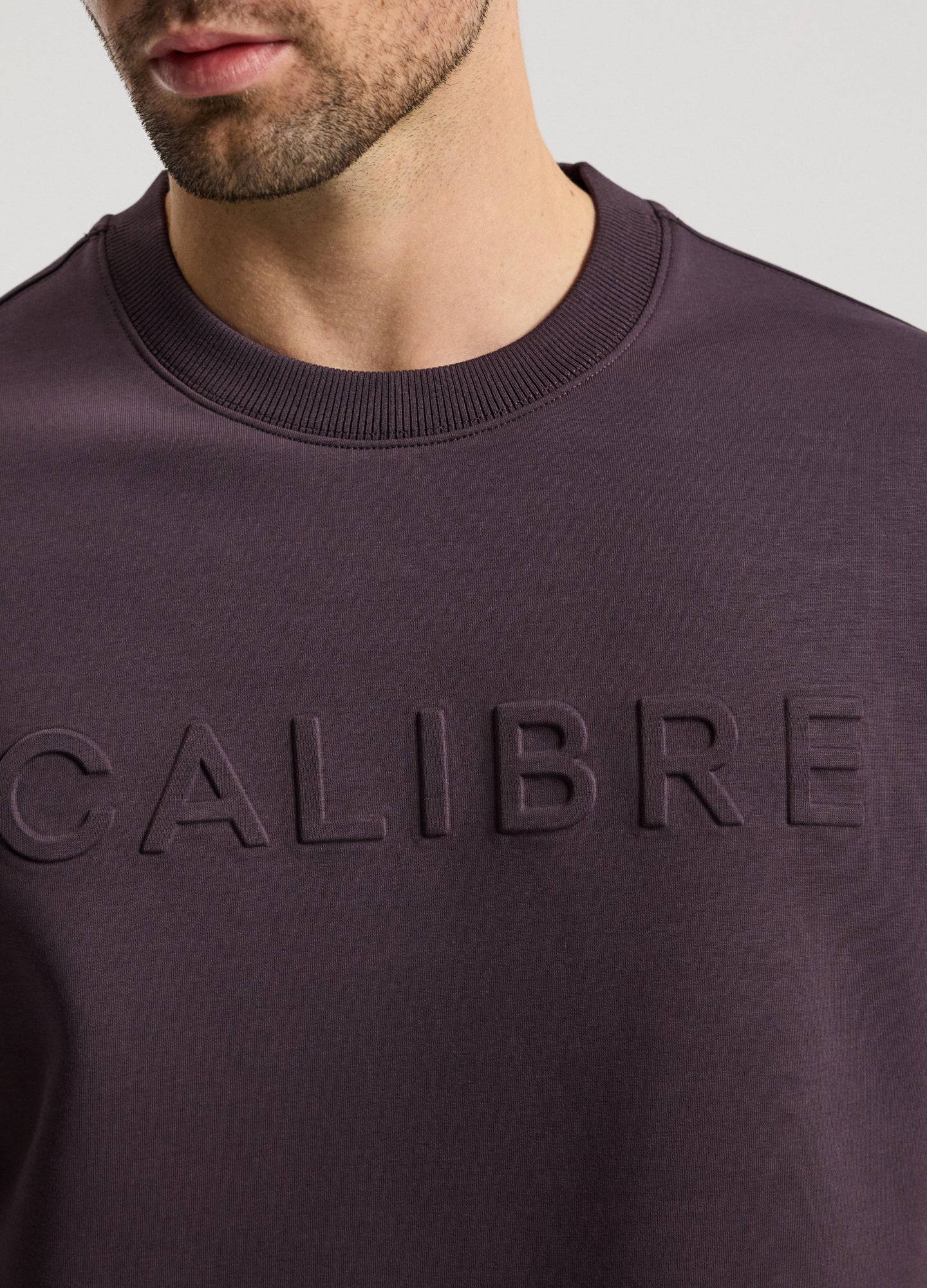 Relaxed Fit Logo Sweat T-shirt Plum